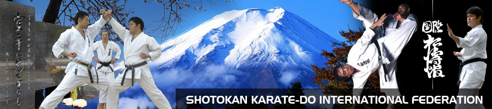 Katas Shotokan