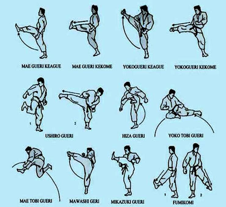 Técnicas de Pernas do Karaté Shotokan