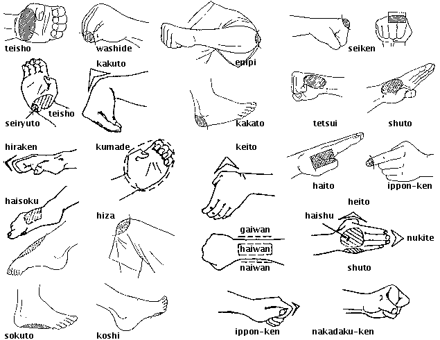 Técnicas de Mãos e Pés do Karaté Shotokan